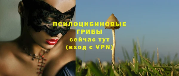 твердый Арсеньев