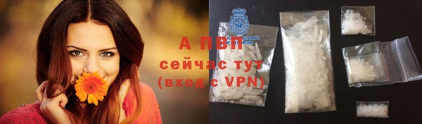 твердый Арсеньев