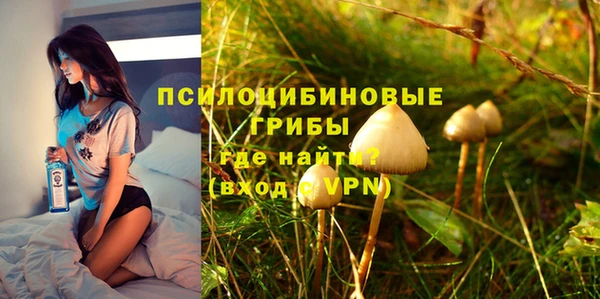 твердый Арсеньев