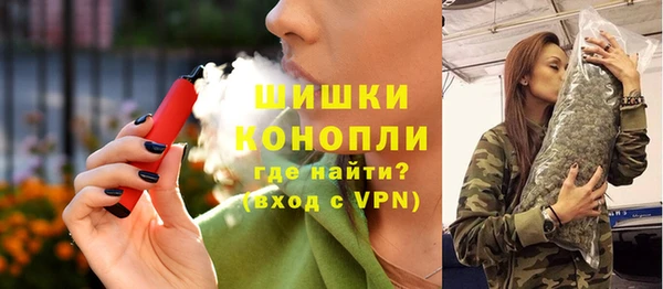 твердый Арсеньев