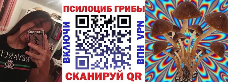 Галлюциногенные грибы MAGIC MUSHROOMS  гидра зеркало  Барабинск 